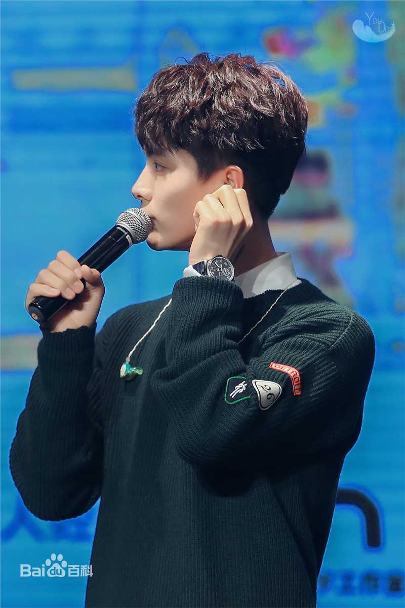 马天宇(Ray Ma)手花发布会壁纸壁纸