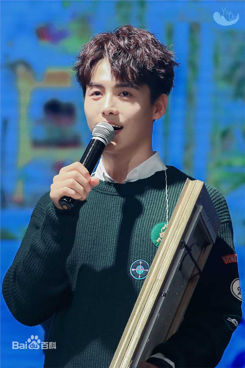 马天宇(Ray Ma)手花发布会壁纸壁纸