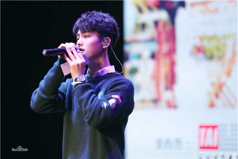 马天宇(Ray Ma)手花发布会壁纸壁纸