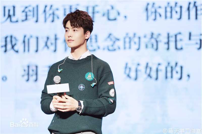 马天宇(Ray Ma)手花发布会壁纸壁纸