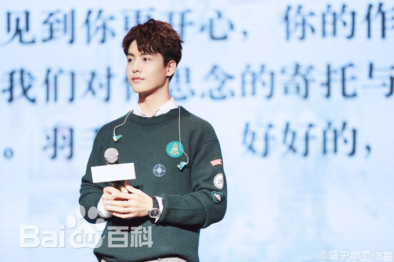 马天宇(Ray Ma)手花发布会壁纸壁纸