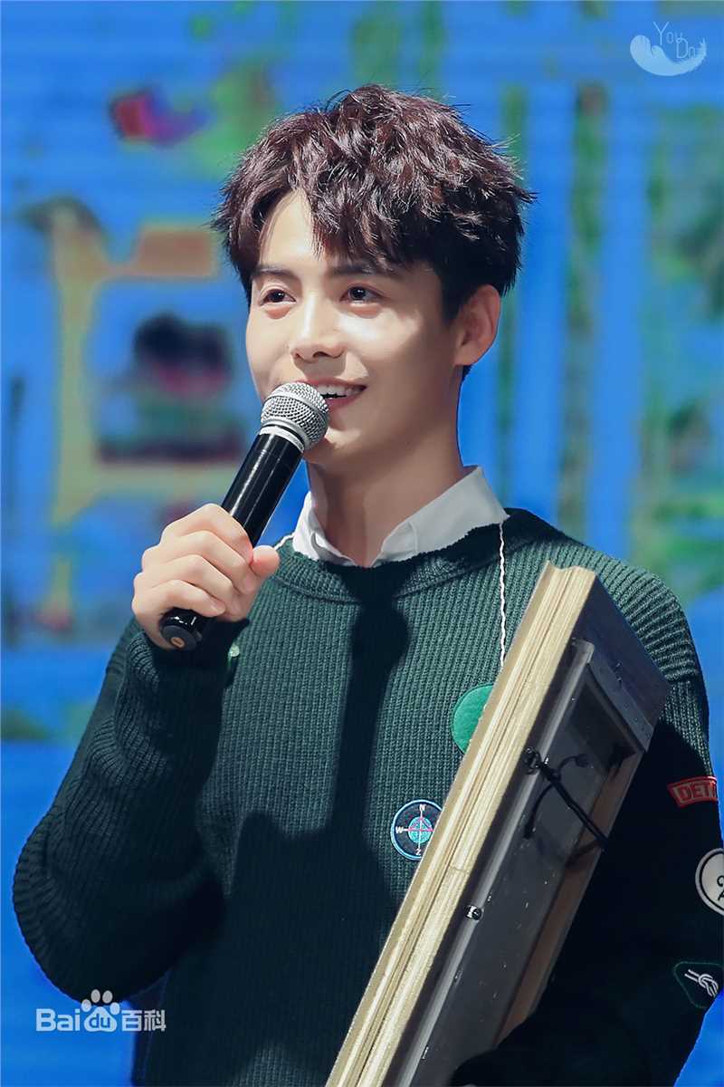 马天宇(Ray Ma)手花发布会壁纸壁纸