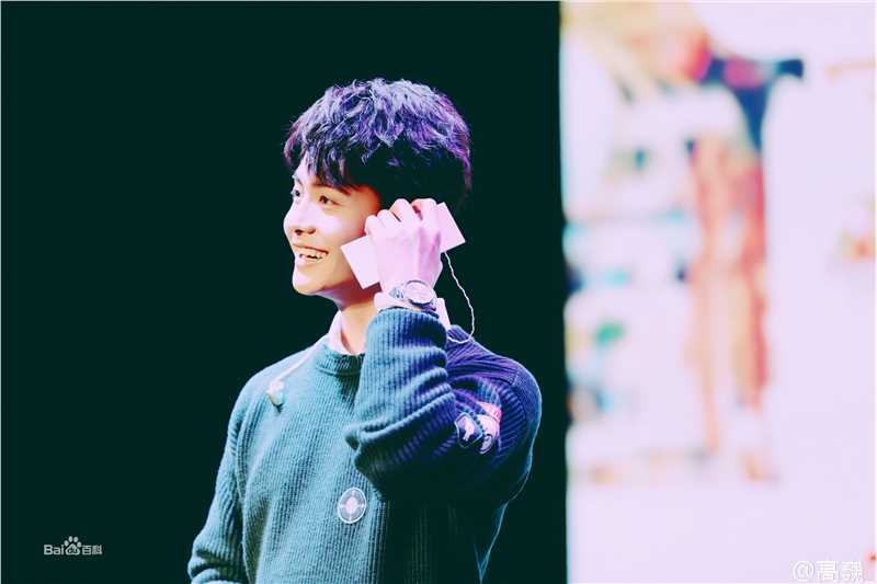 马天宇(Ray Ma)手花发布会壁纸壁纸