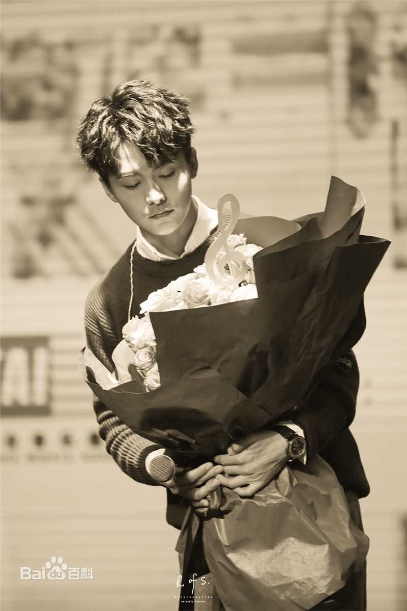 马天宇(Ray Ma)手花发布会壁纸壁纸