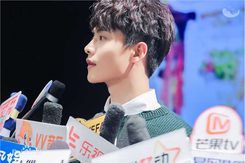 马天宇(Ray Ma)手花发布会壁纸壁纸