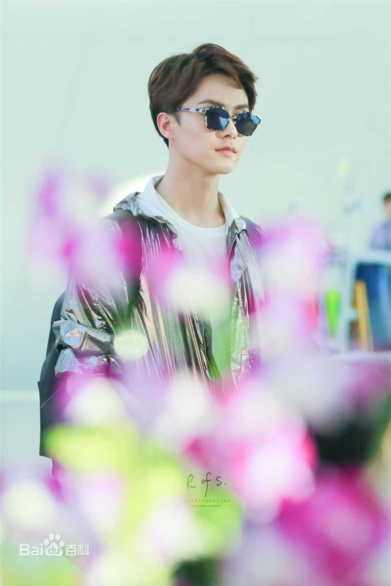 马天宇(Ray Ma)机场2性感图片图集