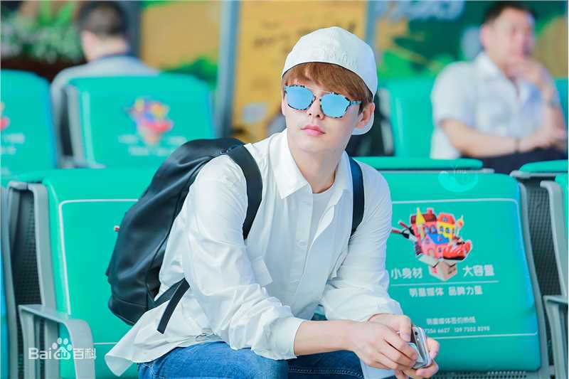 马天宇(Ray Ma)机场2性感图片图集