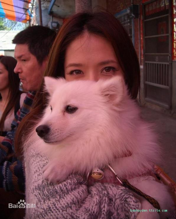 郭碧婷(Bea Hayden)综合照图片图册