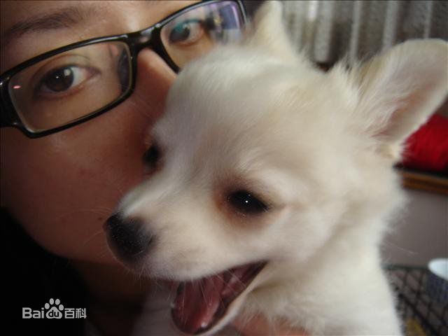 郭碧婷(Bea Hayden)综合照图片图册