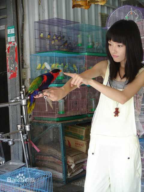 郭碧婷(Bea Hayden)与小动物壁纸壁纸