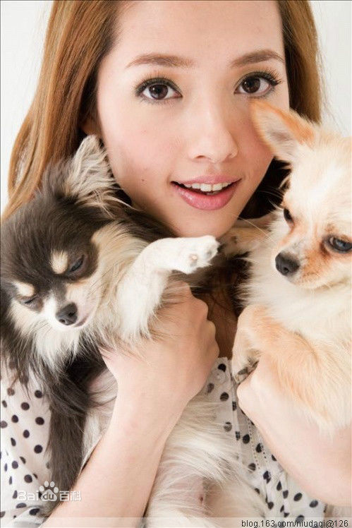 郭碧婷(Bea Hayden)与小动物壁纸壁纸