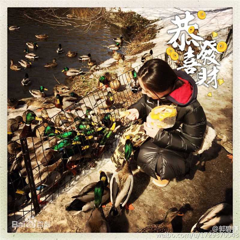 郭碧婷(Bea Hayden)与小动物壁纸壁纸