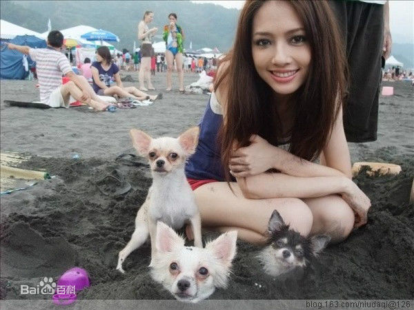 郭碧婷(Bea Hayden)与小动物壁纸壁纸