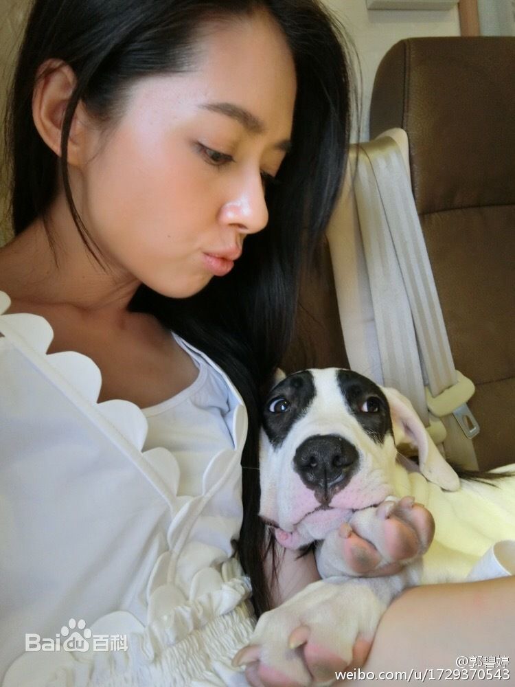 郭碧婷(Bea Hayden)与小动物壁纸壁纸