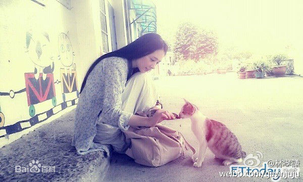 郭碧婷(Bea Hayden)与小动物壁纸壁纸