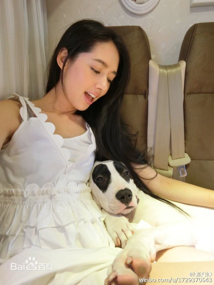 郭碧婷(Bea Hayden)与小动物壁纸壁纸