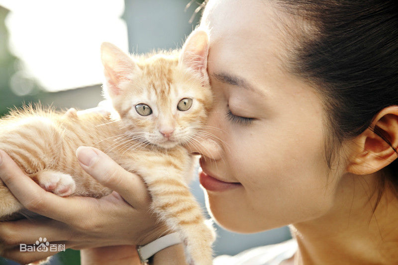 郭碧婷(Bea Hayden)与小动物壁纸壁纸