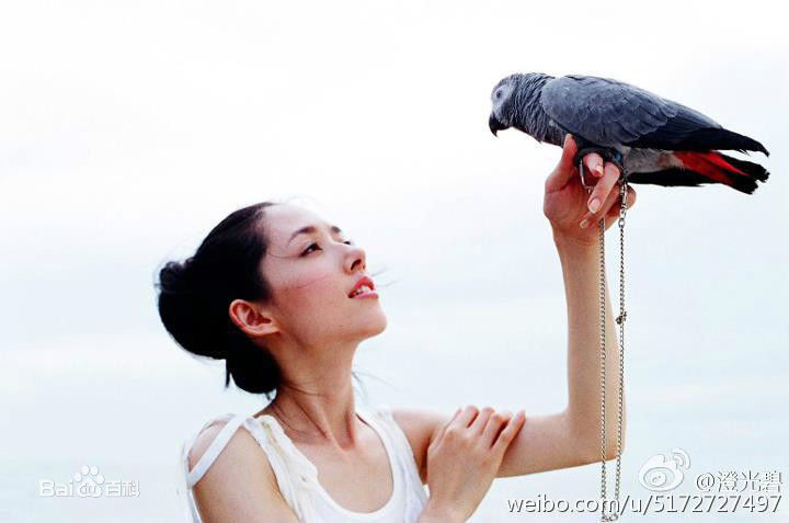 郭碧婷(Bea Hayden)与小动物壁纸壁纸