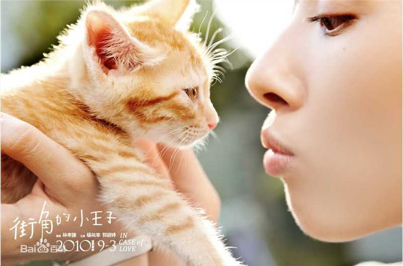 郭碧婷(Bea Hayden)与小动物壁纸壁纸