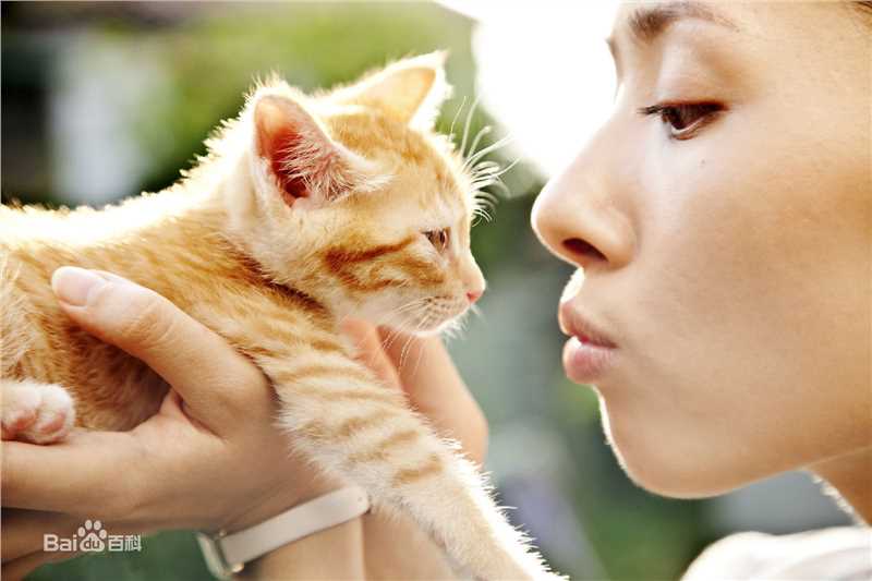 郭碧婷(Bea Hayden)街角的小王子生活照相册