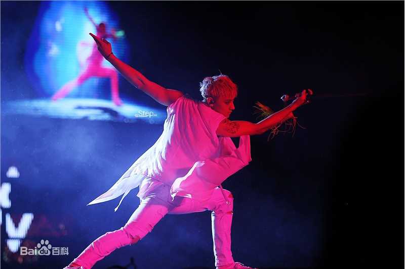 黄子韬(Z.TAO、 、タオ)功夫小子性感图片图集