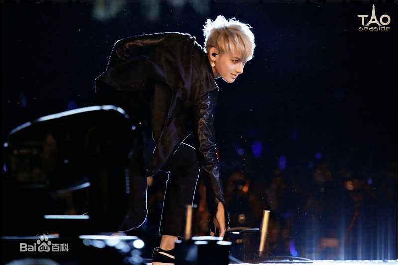 黄子韬(Z.TAO、 、タオ)功夫小子性感图片图集