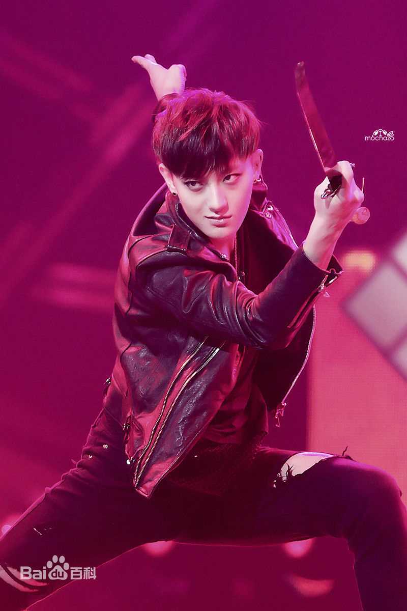 黄子韬(Z.TAO、 、タオ)功夫小子性感图片图集