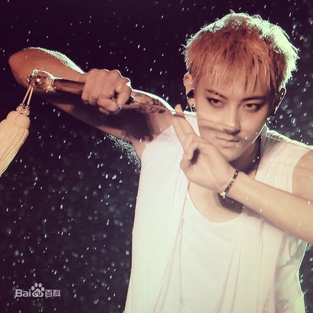 黄子韬(Z.TAO、 、タオ)功夫小子性感图片图集