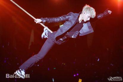 黄子韬(Z.TAO、 、タオ)功夫小子性感图片图集