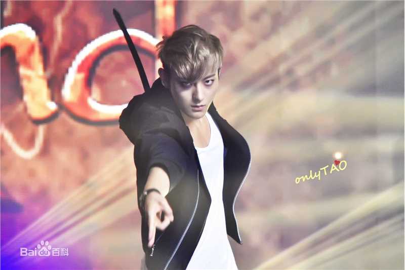 黄子韬(Z.TAO、 、タオ)功夫小子性感图片图集