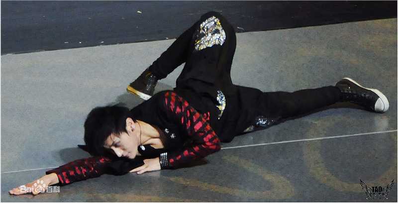 黄子韬(Z.TAO、 、タオ)功夫小子性感图片图集