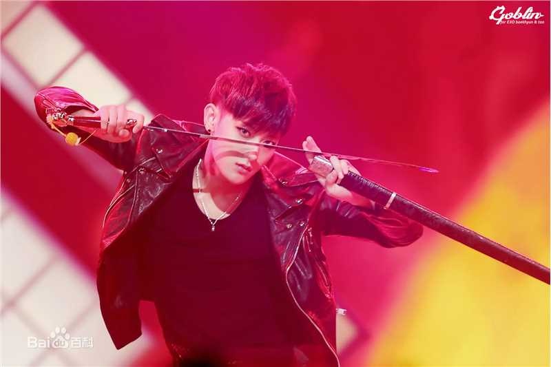 黄子韬(Z.TAO、 、タオ)功夫小子性感图片图集