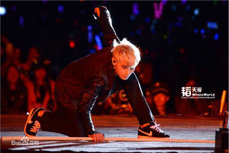 黄子韬(Z.TAO、 、タオ)功夫小子性感图片图集