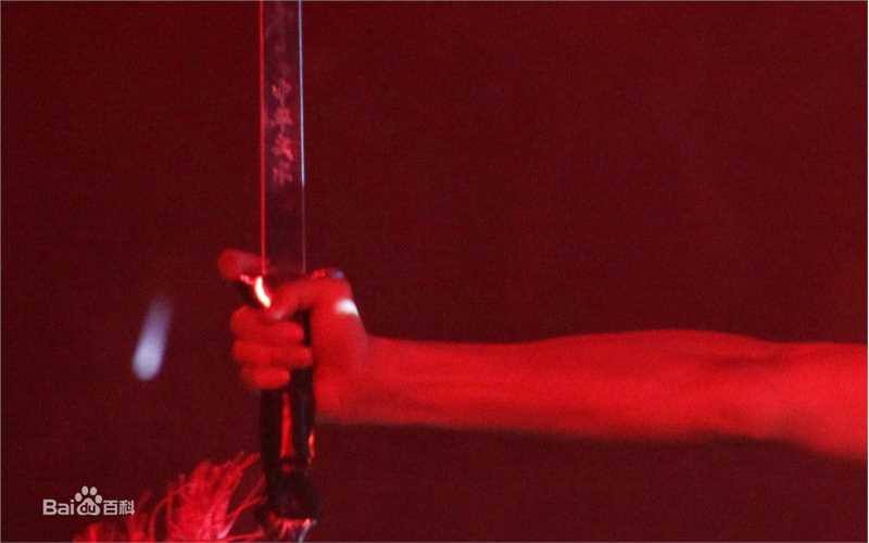 黄子韬(Z.TAO、 、タオ)功夫小子性感图片图集