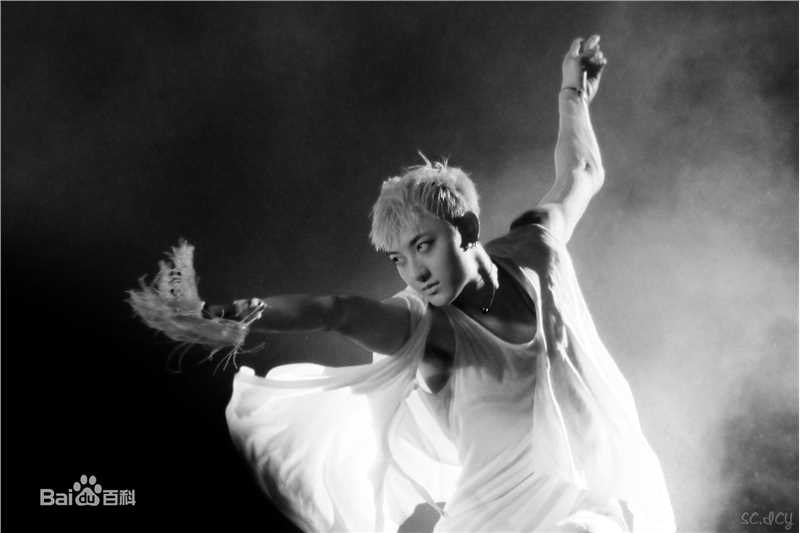 黄子韬(Z.TAO、 、タオ)功夫小子性感图片图集