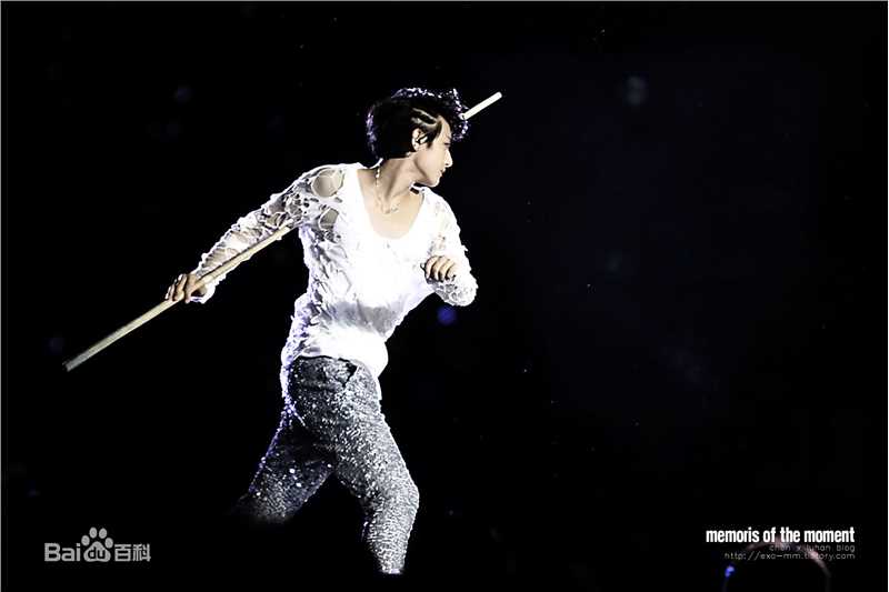 黄子韬(Z.TAO、 、タオ)功夫小子性感图片图集