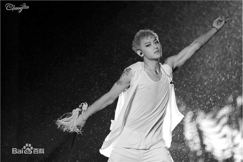 黄子韬(Z.TAO、 、タオ)功夫小子性感图片图集