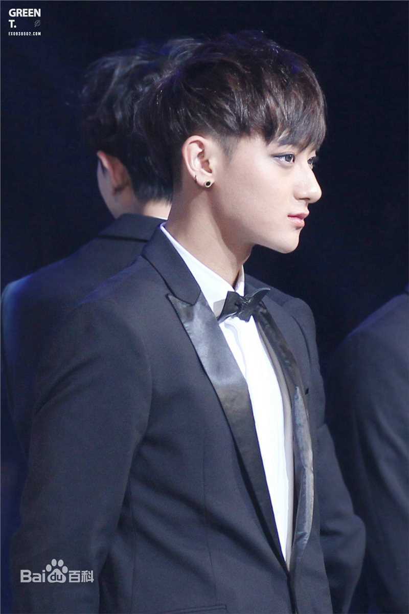 黄子韬(Z.TAO、 、タオ)百变魅力图册