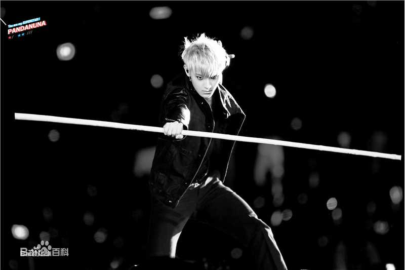 黄子韬(Z.TAO、 、タオ)百变魅力图册