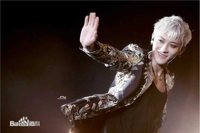 黄子韬(Z.TAO、 、タオ)百变魅力图册