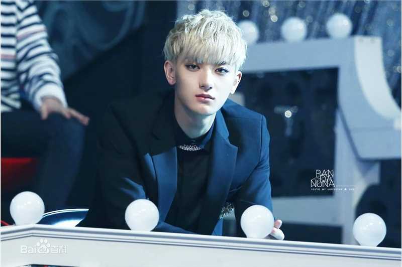 黄子韬(Z.TAO、 、タオ)百变魅力图册