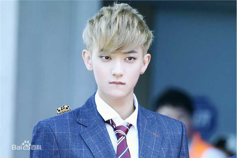 黄子韬(Z.TAO、 、タオ)百变魅力图册