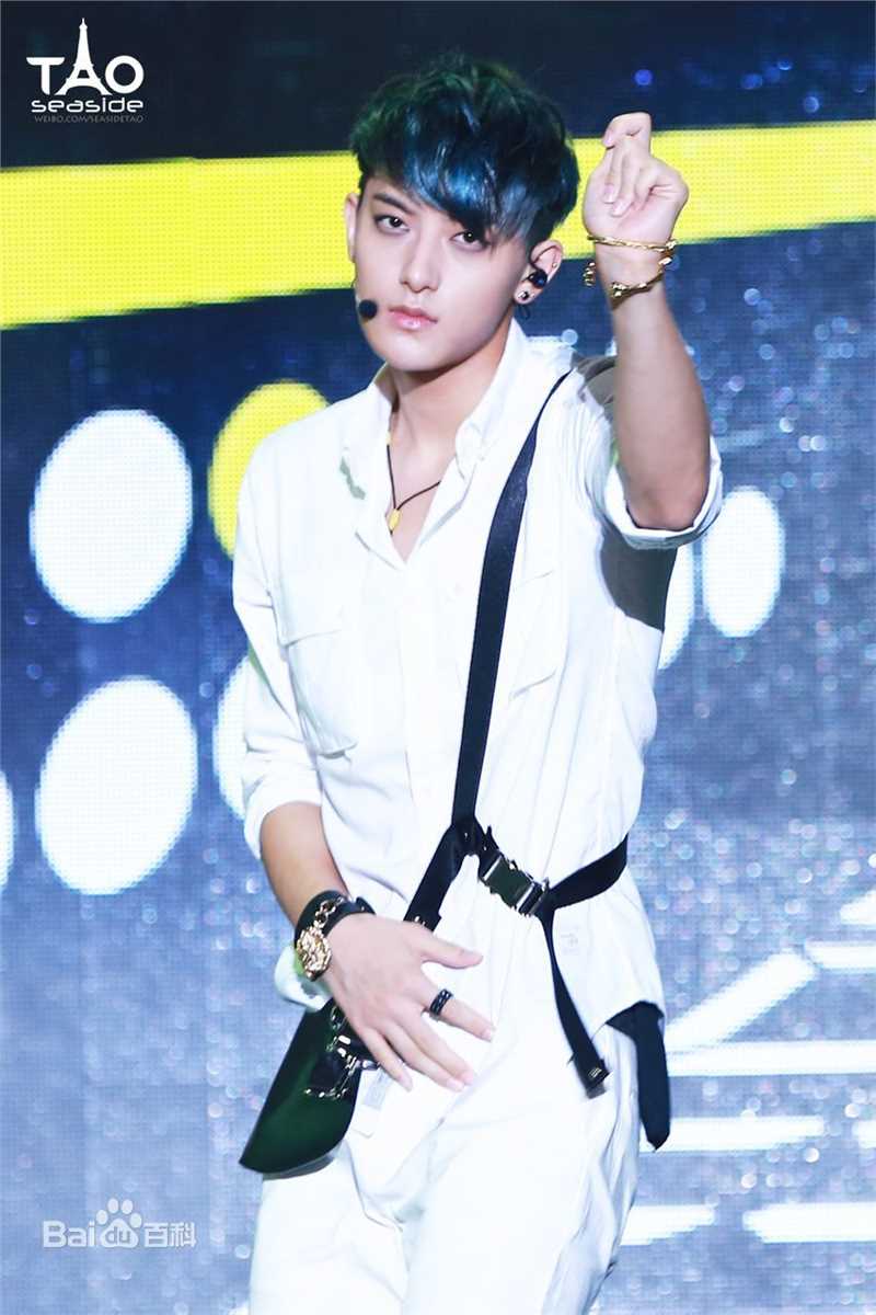 黄子韬(Z.TAO、 、タオ)百变魅力图册