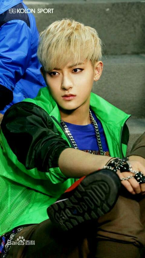 黄子韬(Z.TAO、 、タオ)杂志广告