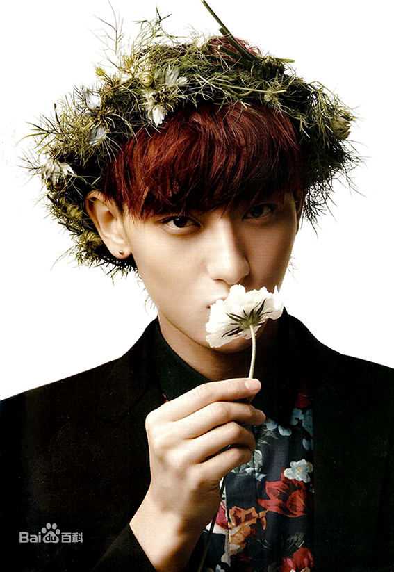 黄子韬(Z.TAO、 、タオ)杂志广告