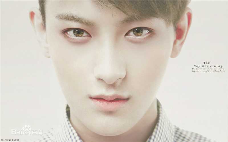 黄子韬(Z.TAO、 、タオ)杂志广告