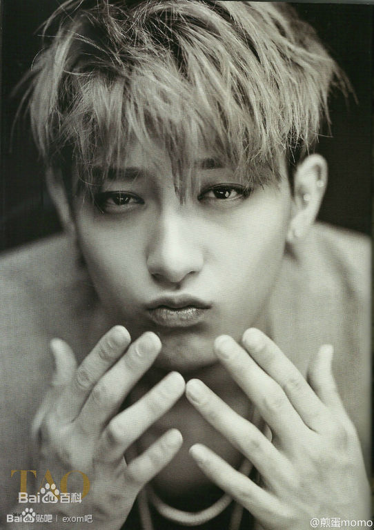 黄子韬(Z.TAO、 、タオ)杂志广告