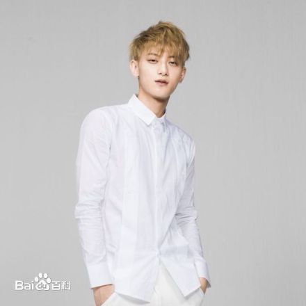 黄子韬(Z.TAO、 、タオ)杂志广告