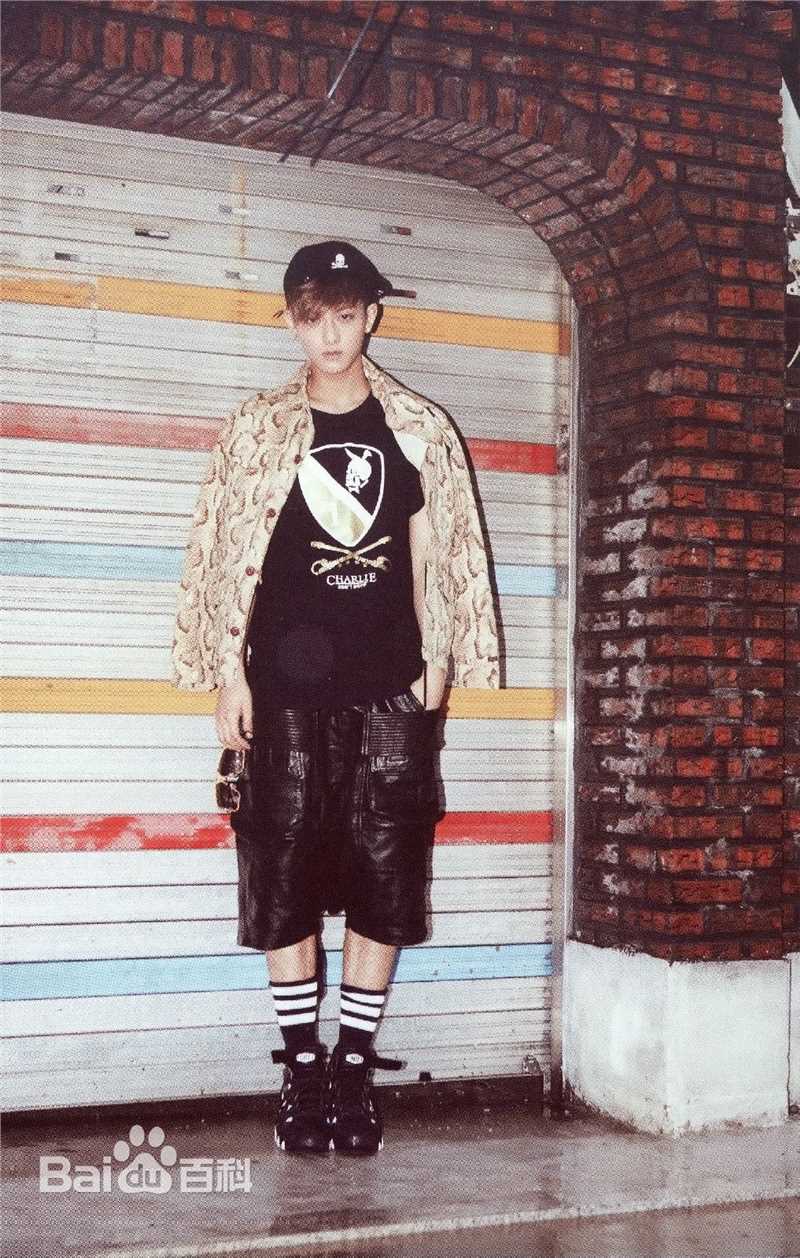 黄子韬(Z.TAO、 、タオ)杂志广告