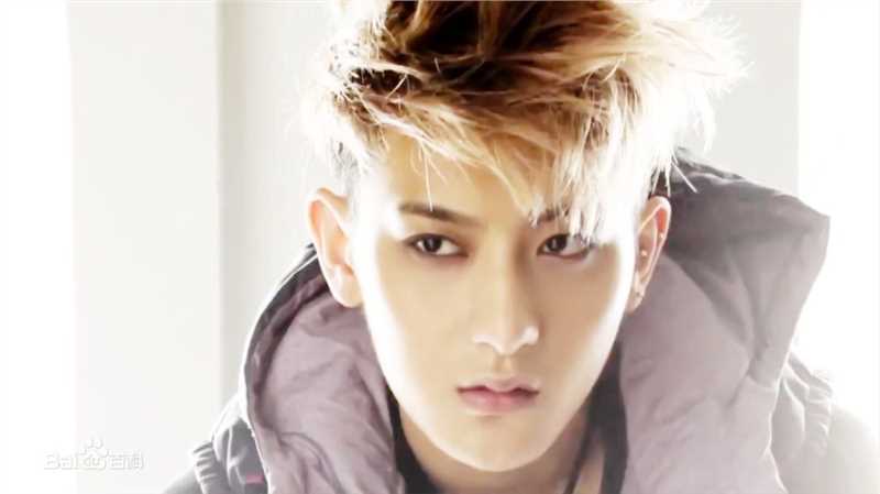 黄子韬(Z.TAO、 、タオ)杂志广告